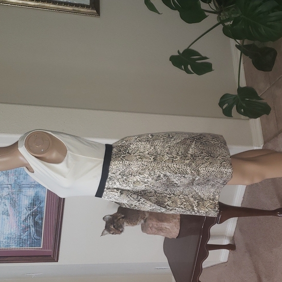 Donna Ricco s butter soft cream upper metallic snakeskin poof skirt sparkly midi - Picture 3 of 7